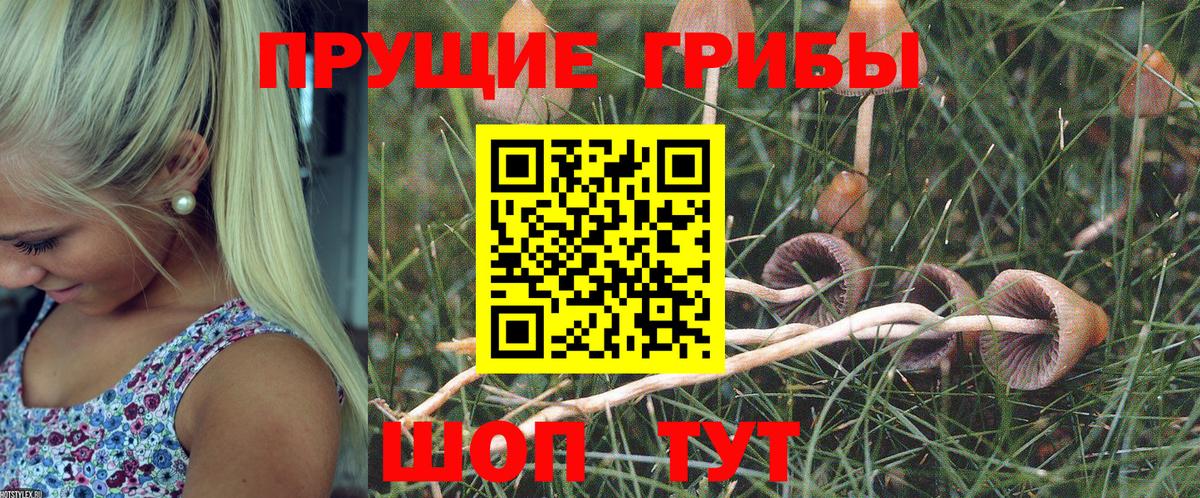 Псилоцибиновые грибы мухоморы  Вход с VPN  Шали 